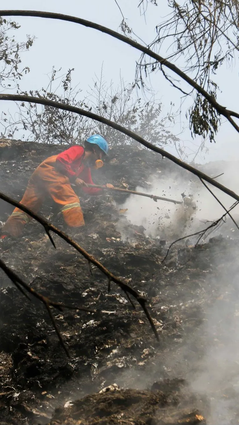 Diduga yang menjadi penyebab terjadinya kebakaran tersebut akibat timbunan sampah seluas 900 meter persegi yang dibakar.