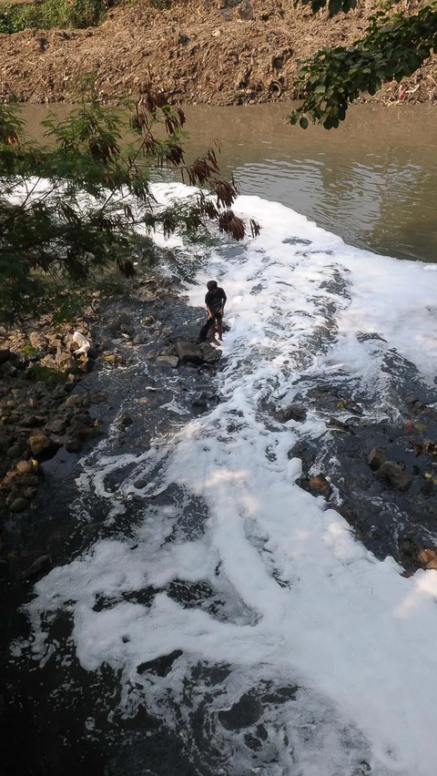 Kondisi menjadi penyebab sungai-sungai di Jakarta menjadi tercemar sehingga berdampak pada wilayah Jakarta Utara yang menjadi hilir.