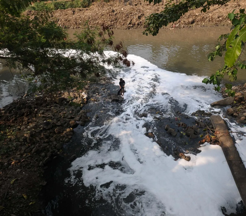 Untuk diketahui, DKI Jakarta mempunyai 13 sungai dan dua kanal. <br><br>Selain itu, sungai-sungai yang berhulu di Bogor juga sudah mengalami akumulasi pencemaran sehingga memperparah kondisinya ketika sampai di hilir, Jakarta Utara.