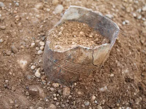 Desa Celtic Kuno Berusia 2.300 Tahun Ditemukan di Tengah Ladang, Ada Pemakaman Umum Sampai Balai Desa