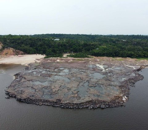 FOTO: Situs Prasejarah Muncul di Sungai Amazon yang Mengering, Ada Ukiran Kuno Wajah Manusia