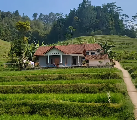 Keindahan Kampung di Tasikmalaya Ini Curi Perhatian, Pesonanya Bak Lukisan