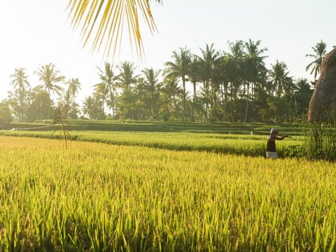 Sepatunya Sering Jebol saat Sekolah, Anak Petani Ini Dapat Beasiswa hingga S3 Kini Jadi Cawapres