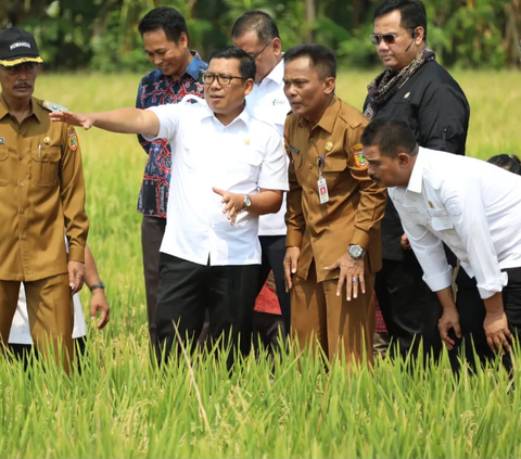 Plt Mentan Panen Raya dan Tanam Padi di Sukoharjo