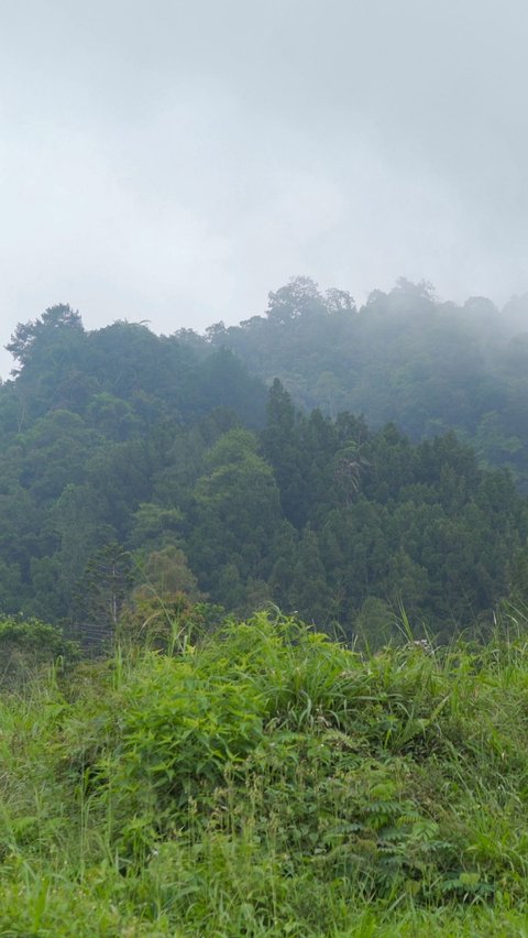 Fakta Unik Deretan Perbukitan Turgo-Plawangan, Usianya Jauh Lebih Tua dari Gunung Merapi