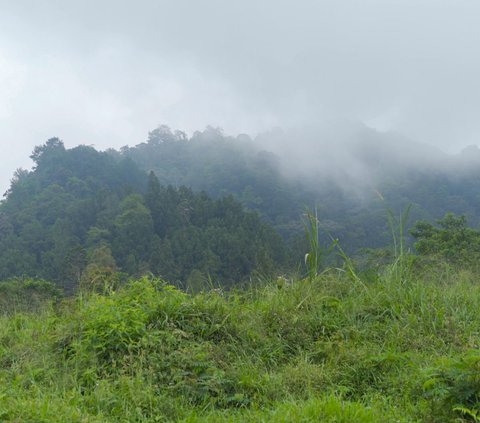 Usianya Disebut Jauh Lebih Tua dari Gunung Merapi, Ini Fakta Unik Bukit Turgo-Plawangan
