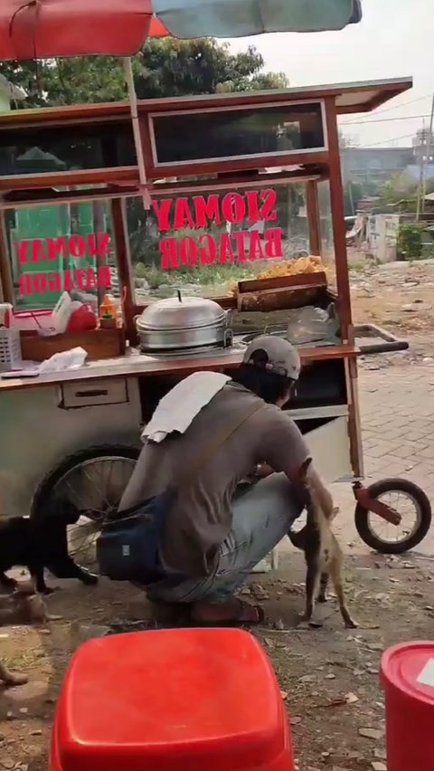 Viral Aksi Pedagang Siomay Rutin Beri Makan Kucing Jalanan, Warganet: Orang Kaya Sesungguhnya