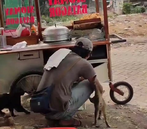 Viral Aksi Pedagang Siomay Rutin Beri Makan Kucing Jalanan, Warganet: Orang Kaya Sesungguhnya