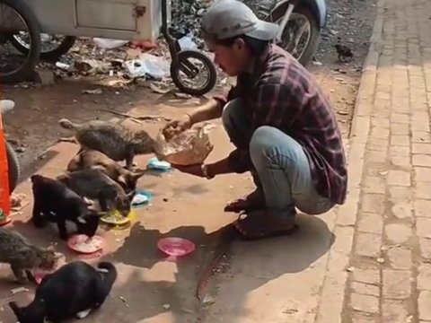 Viral Aksi Pedagang Siomay Rutin Beri Makan Kucing Jalanan, Warganet: Orang Kaya Sesungguhnya