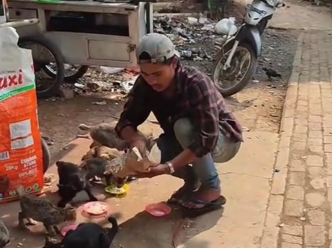 Viral Aksi Pedagang Siomay Rutin Beri Makan Kucing Jalanan, Warganet: Orang Kaya Sesungguhnya