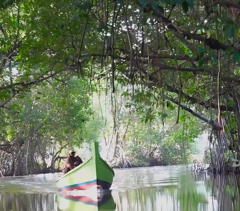 Dikenal sebagai Amazonnya Indramayu, Begini Serunya Mengarungi Sungai Kedung Cowet Pakai Perahu