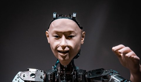 Pertimbangan-pertimbangan ini mungkin merupakan alasan dari mengapa Hanson Robotics tidak menjualnya.