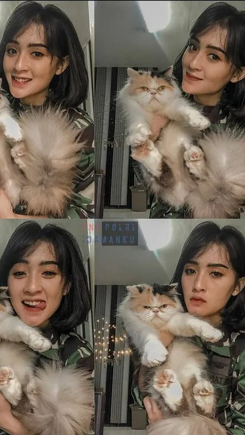 Leluasa Berpose dengan Seekor Kucing<br>