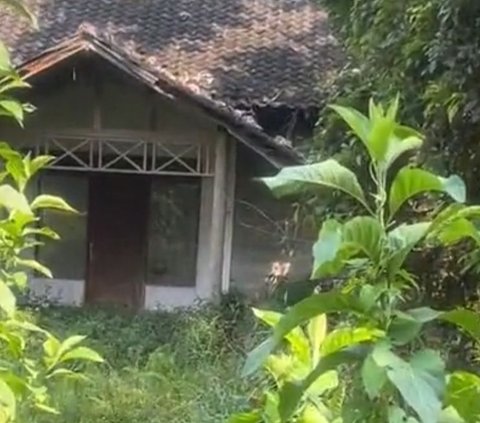 Cerita Wanita Pesan Villa via Website Malah Dapat Rumah Horor Tak Terawat, Batal Nginap karena Tak Berani