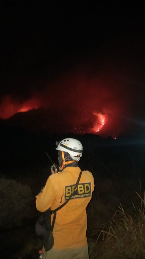 Potret Kerja Keras Petugas Berjibaku Padamkan Kobaran Api di Gunung Papandayan<br>