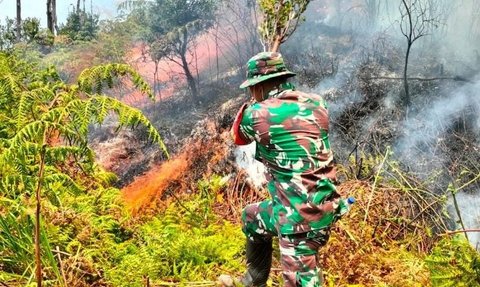Potret Kerja Keras Petugas Berjibaku Padamkan Kobaran Api di Gunung Papandayan