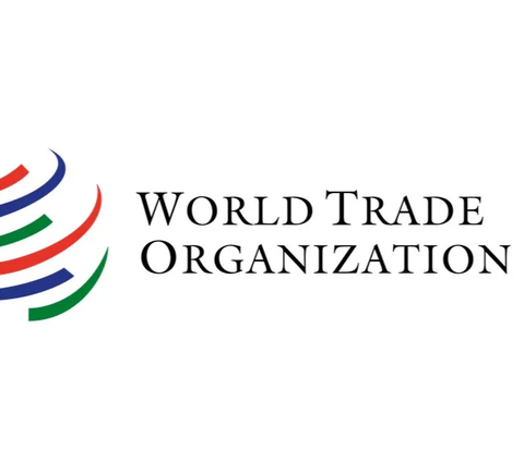 Sidang 'Mobnas Timor' ini memakan waktu 12 bulan lebih, setelah WTO membacakan hasil keputusannya pada 23 Juli 1998.