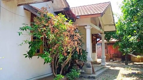 Potret Rumah Abiem Ngesti yang Terbengkalai, Dulu Mewah Pada Zamannya tapi Kini Memprihatinkan Jadi Kandang Ayam