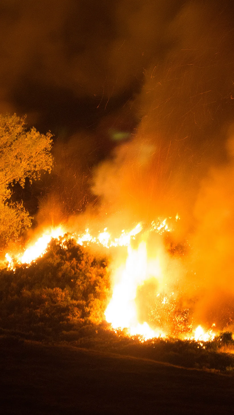 Ingin Lepaskan Kail Pancing yang Tersangkut Ranting, Pria Klaten Ini Nyalakan Api hingga Sebabkan 5 Hektare Hutan Terbakar