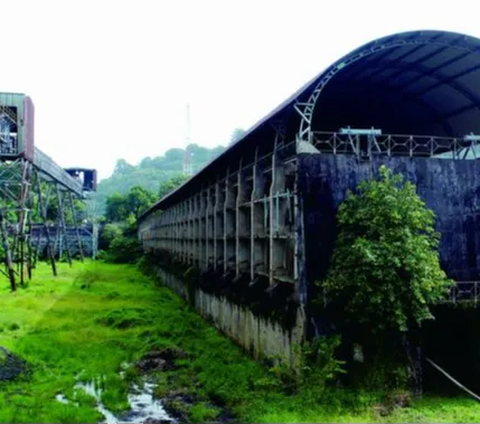 6. Meskipun penemuan batu bara Ombilin di Sawahlunto terjadi pada tahun 1868 oleh seorang insinyur Belanda bernama W.H. de Greve, penambangan secara resmi baru dimulai pada tahun 1891.