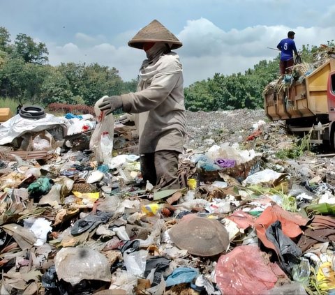 Viral Dirty and Disgusting Room Feels Like a Dumping Ground, Owner Frustrated with Collection of Bottles Filled with Urine