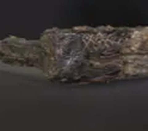 Kursi Lipat Berusia 1400 Tahun Ditemukan Dalam Makam Seorang Wanita, Fungsinya Masih Misterius