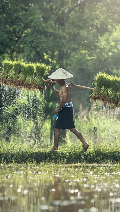 Sektor Pertanian Jadi Solusi Hadapi Perubahan Iklim dan Berkurangnya Air Tanah