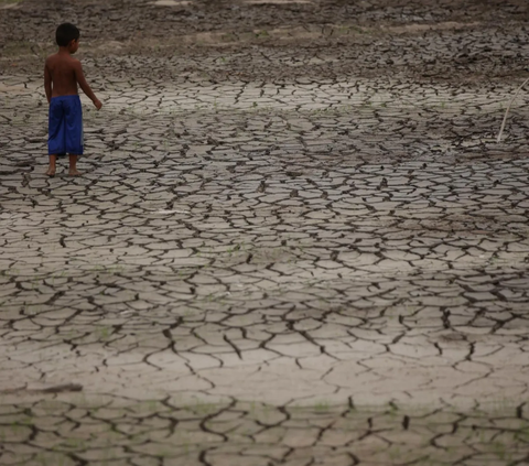Sektor Pertanian Jadi Solusi Hadapi Perubahan Iklim dan Berkurangnya Air Tanah