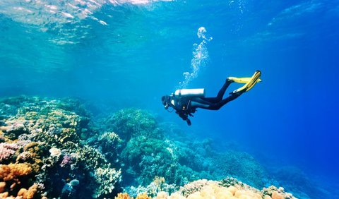 Pantai Amed, Favorit Divers<br>