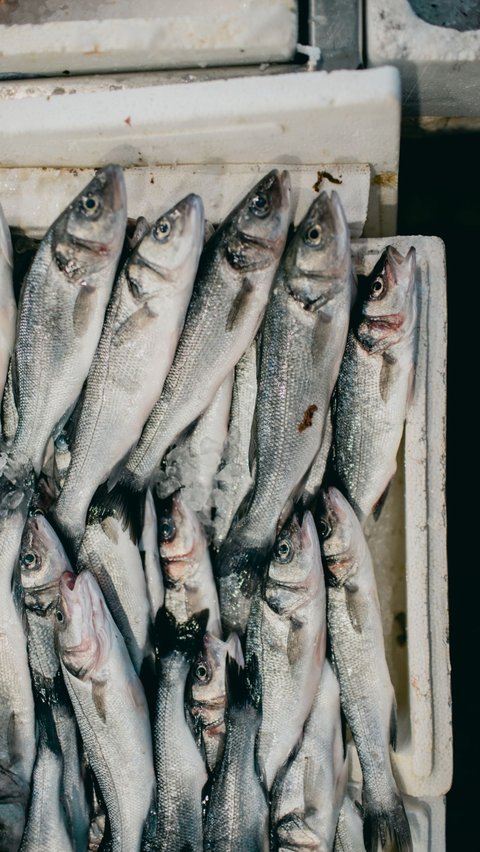 <b>12 Cara Masak Sarden Simple ala Rumahan, Sajian Praktis untuk Menu Makan Keluarga</b>