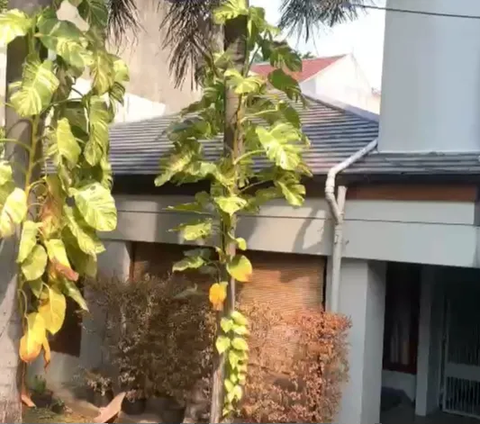 Rumah Mewah Diduga 'Safe House' Firli Bahuri di Kertanegara Ternyata Sewaan, Polisi Periksa Pemilik