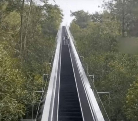 China Creates Giant Hundreds-Meter Escalator in the Middle of Mountains, Lazy People Can Hike Now!