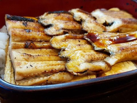 2. Ikan Sidat di Restoran Jepang Ternyata Berasal dari Cilacap