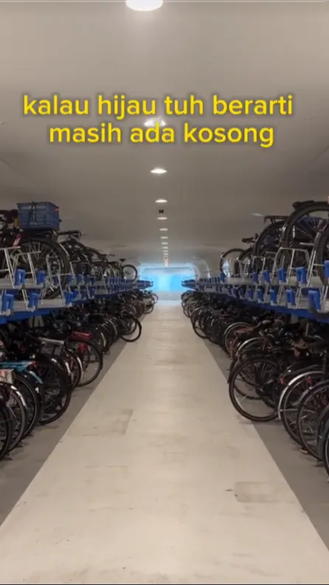 Potret Parkiran Sepeda Terbesar di Dunia, Lokasinya di Bawah Laut