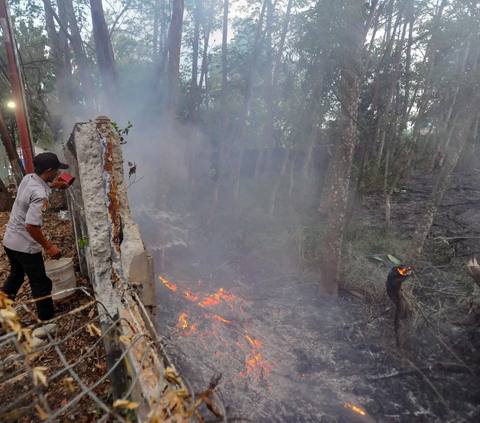 PLN Indonesia Power Kerahkan Personel Atasi Kebakaran Hutan, Ini Sebaran Lokasinya