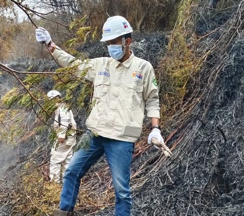 PLN Indonesia Power Kerahkan Personel Atasi Kebakaran Hutan, Ini Sebaran Lokasinya