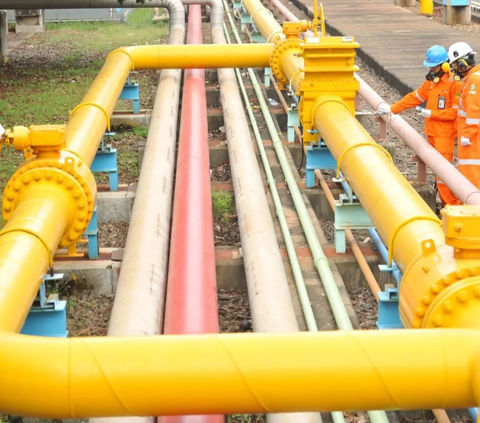 Diversifikasi pasokan gas dari LNG untuk membantu keandalan ketersediaan pasokan gas ke depannya diupayakan untuk memperkaya portofolio keandalan gas bumi domestik.<br>