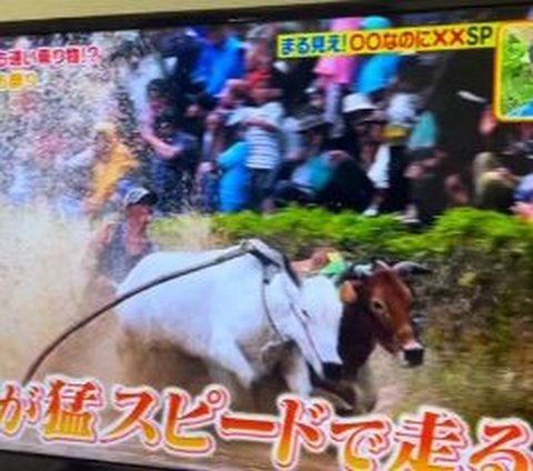 Viral Jalan di Indonesia Tayang di Acara TV Jepang, Masuk dalam Kategori Jalan Teraneh