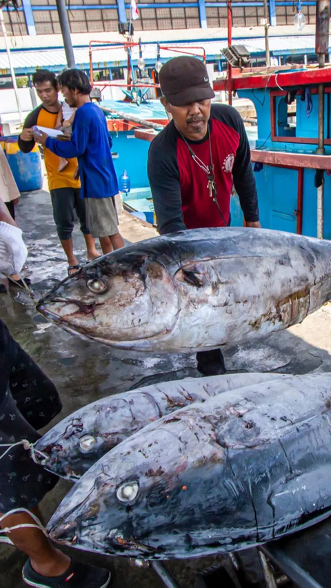 FOTO: Kementerian Kelautan dan Perikanan Terapkan Penangkapan Ikan Terukur Berbasis Kuota di Tahun 2024