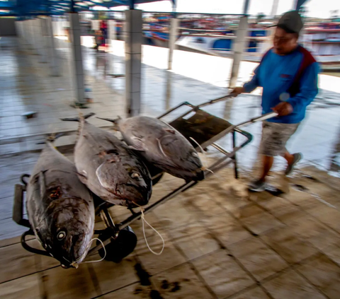 FOTO: Kementerian Kelautan dan Perikanan Terapkan Penangkapan Ikan Terukur Berbasis Kuota di Tahun 2024