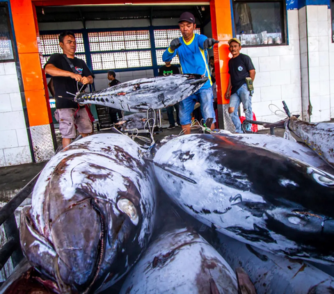 FOTO: Kementerian Kelautan dan Perikanan Terapkan Penangkapan Ikan Terukur Berbasis Kuota di Tahun 2024