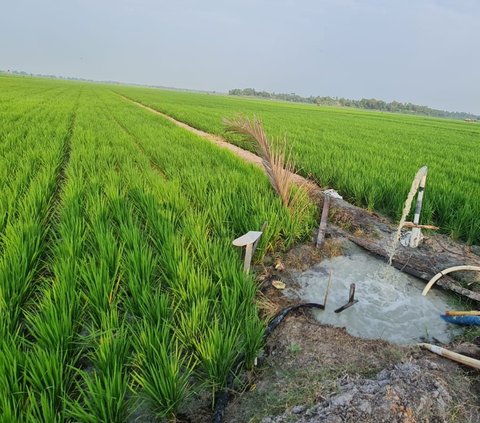 BPS Catat Pemprov Sulut Surplus Neraca Perdagangan, Kunjungan Wisatawan Hingga NTP