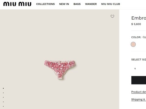 The Most Expensive Underwear in the World Makes You Stare, Priced at IDR 86 Million