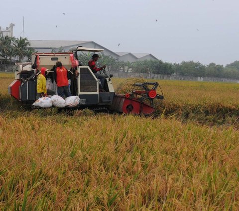 September 2023, NTP dan NTUP Terus Naik Signifikan