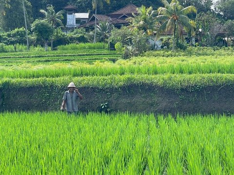 September 2023, NTP dan NTUP Terus Naik Signifikan