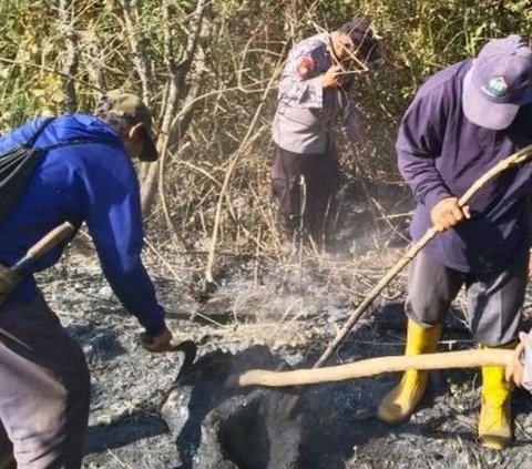 Gunung Lawu Kebakaran, Begini Kondisi Terkini Mbok Yem dan Warungnya