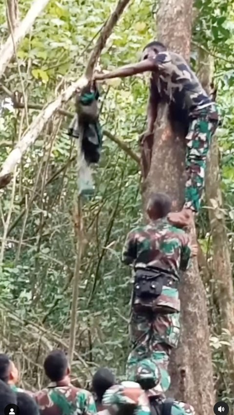 Operasi di Tengah Hutan Belantara, Puluhan Prajurit TNI Kalang Kabut Gara-Gara Satu Makhluk Kecil