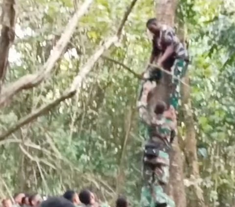 Operasi di Tengah Hutan Belantara, Puluhan Prajurit TNI Kalang Kabut Gara-Gara Satu Makhluk Kecil