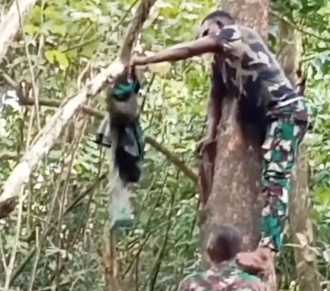 Operasi di Tengah Hutan Belantara, Puluhan Prajurit TNI Kalang Kabut Gara-Gara Satu Makhluk Kecil