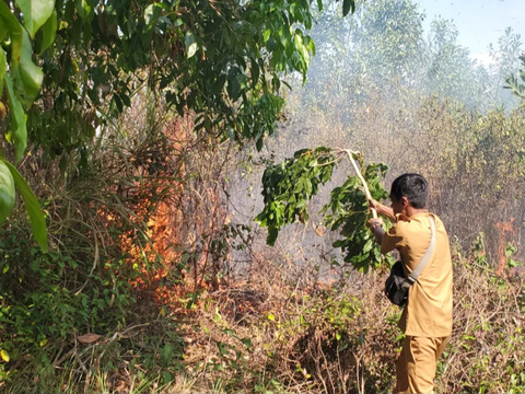 Sumsel Diprediksi Tanpa Hujan hingga 67 Hari, Mayoritas Daerah Rawan Karhutla